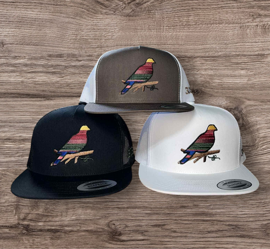 The Serape Dove