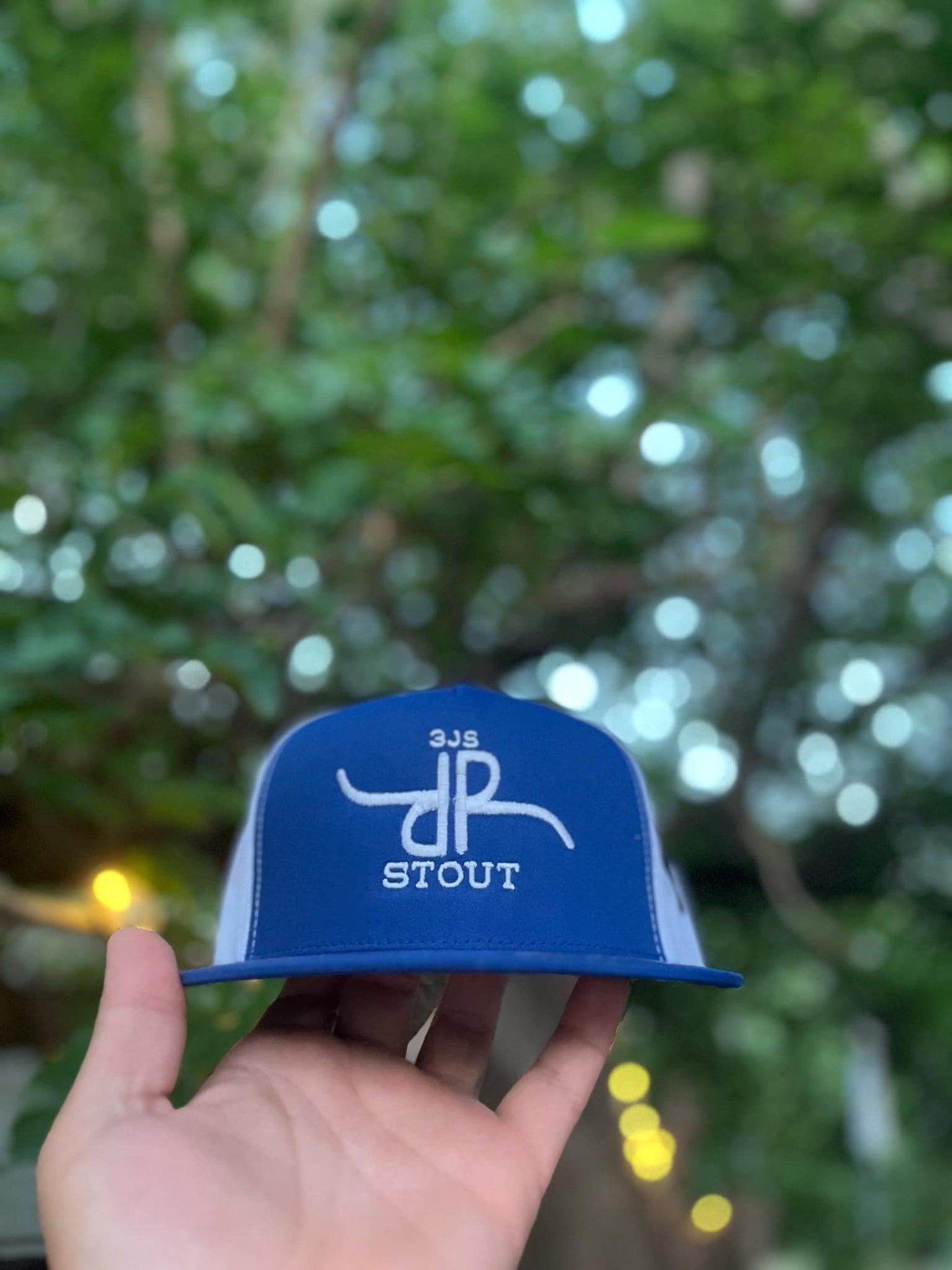 The Stout